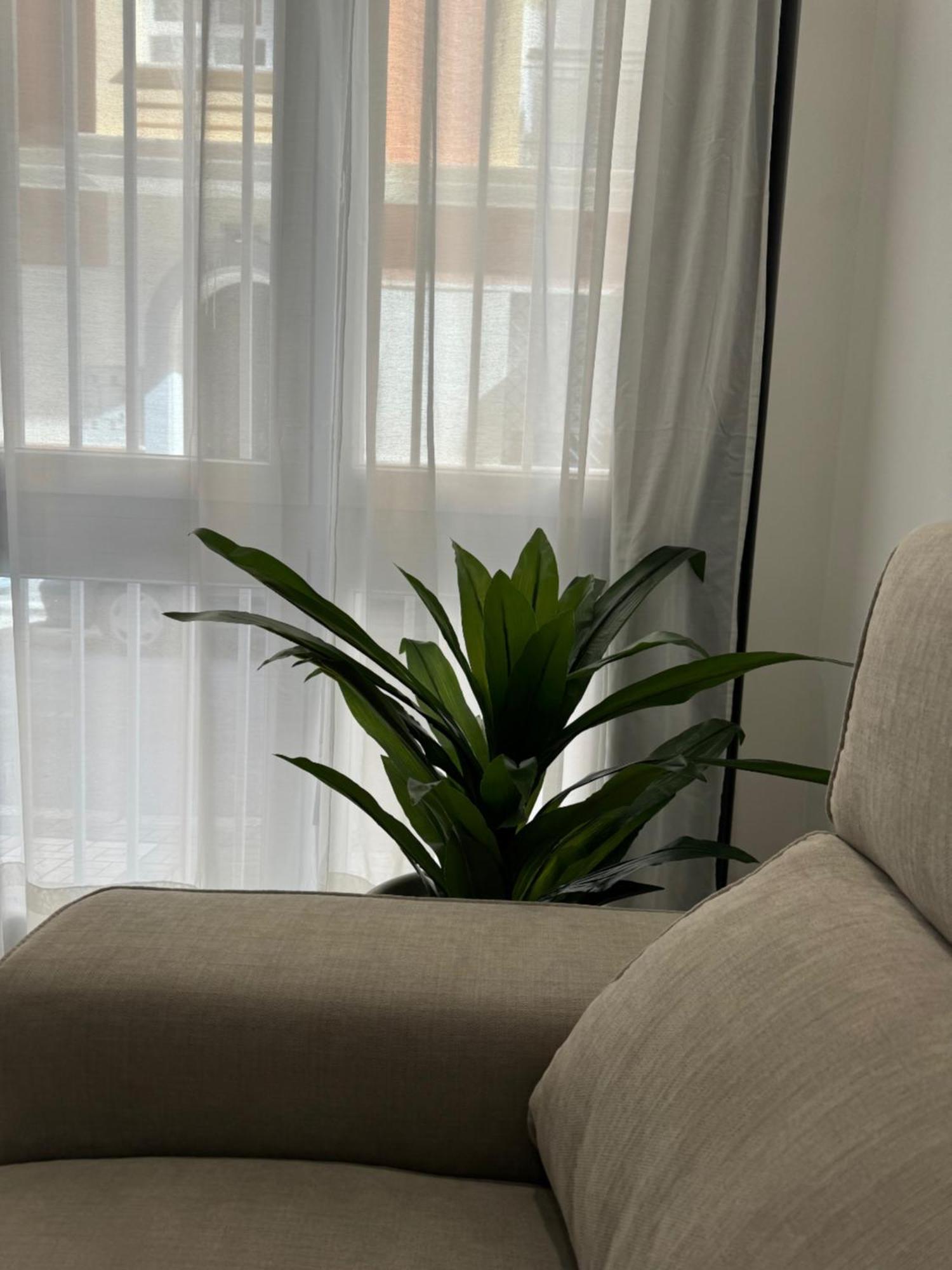 Alderete Suites Màlaga Exteriér fotografie